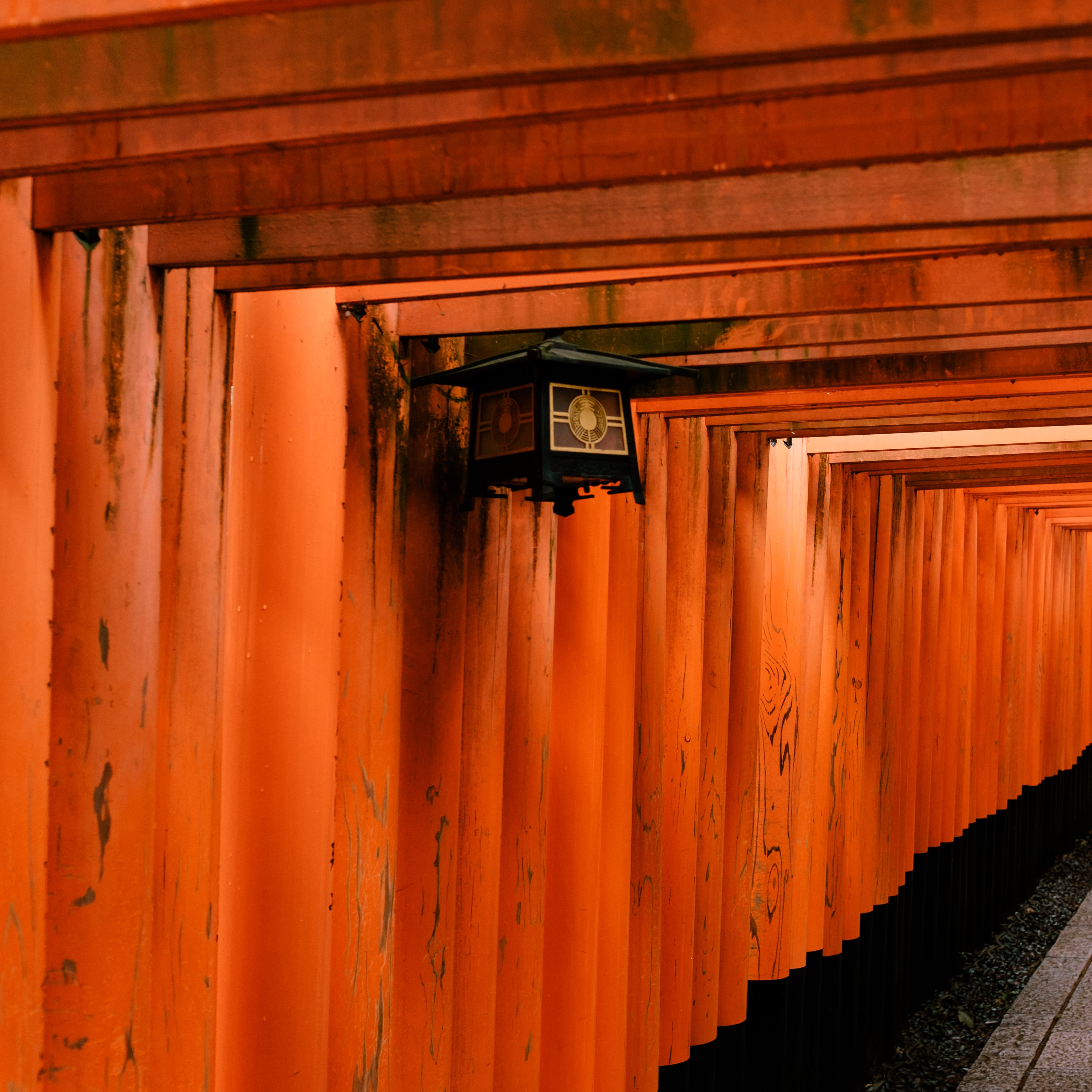 Fushimi Inari Taisha gates